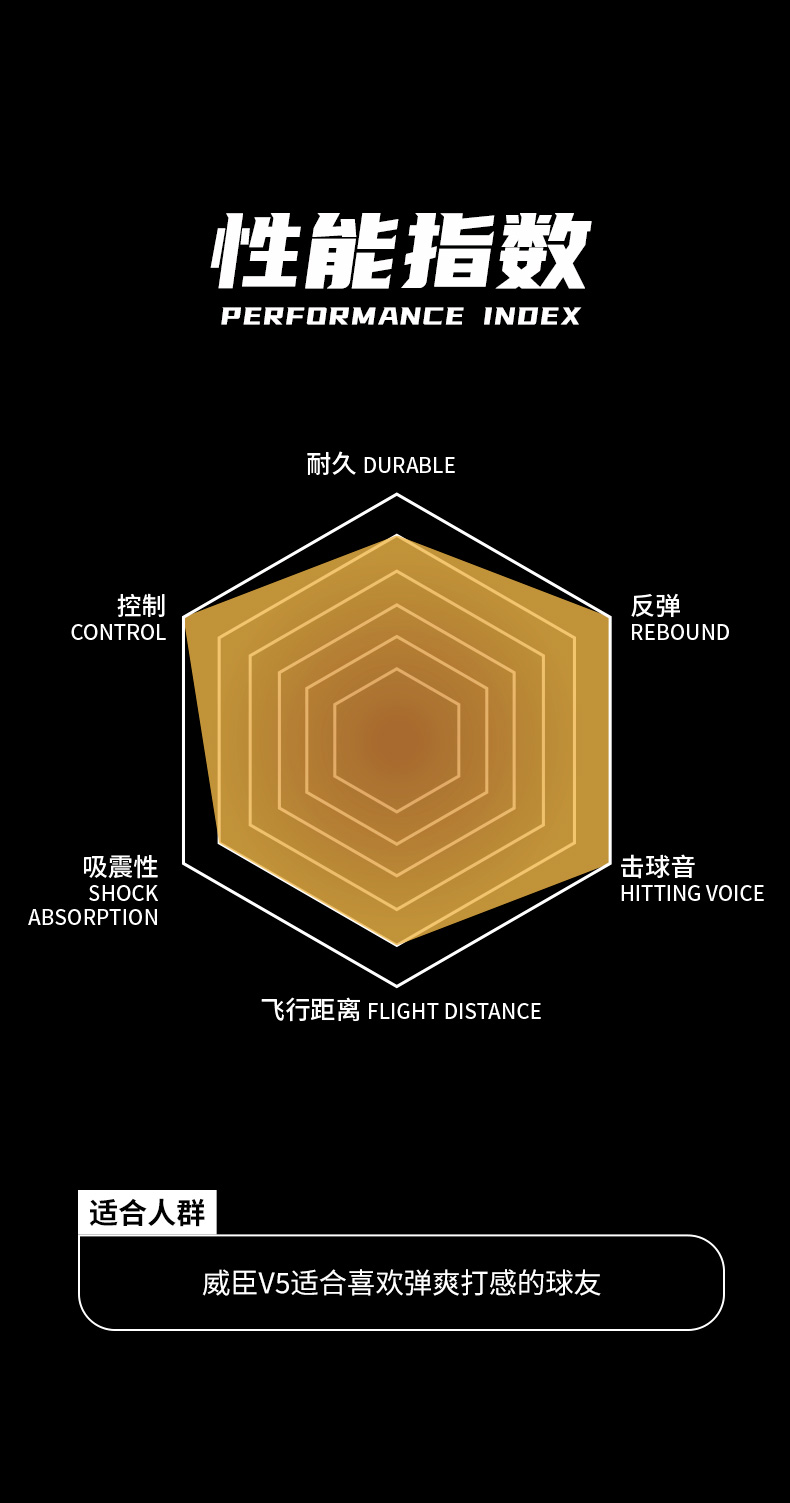 V5详情_05.jpg